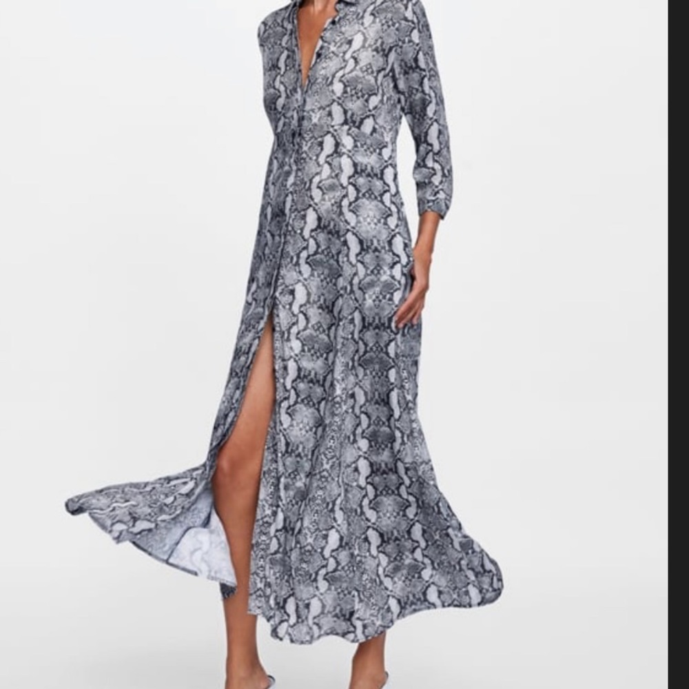 Zara button down maxi dress